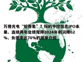 万隆光电“蛇吞象”？标的中控信息IPO未果、连续两年业绩双降2024年利润降62%、负债率达70%的简单介绍